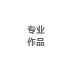 專(zhuān)業(yè)作品